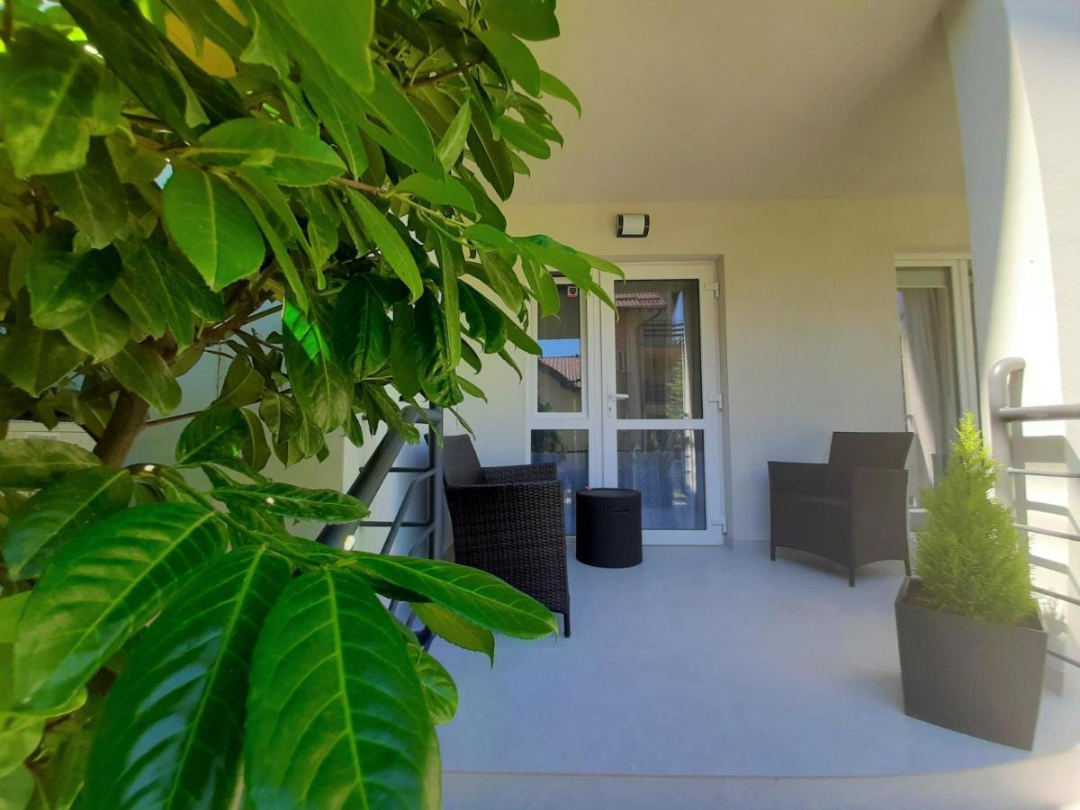 One-Bedroom Apartment 2