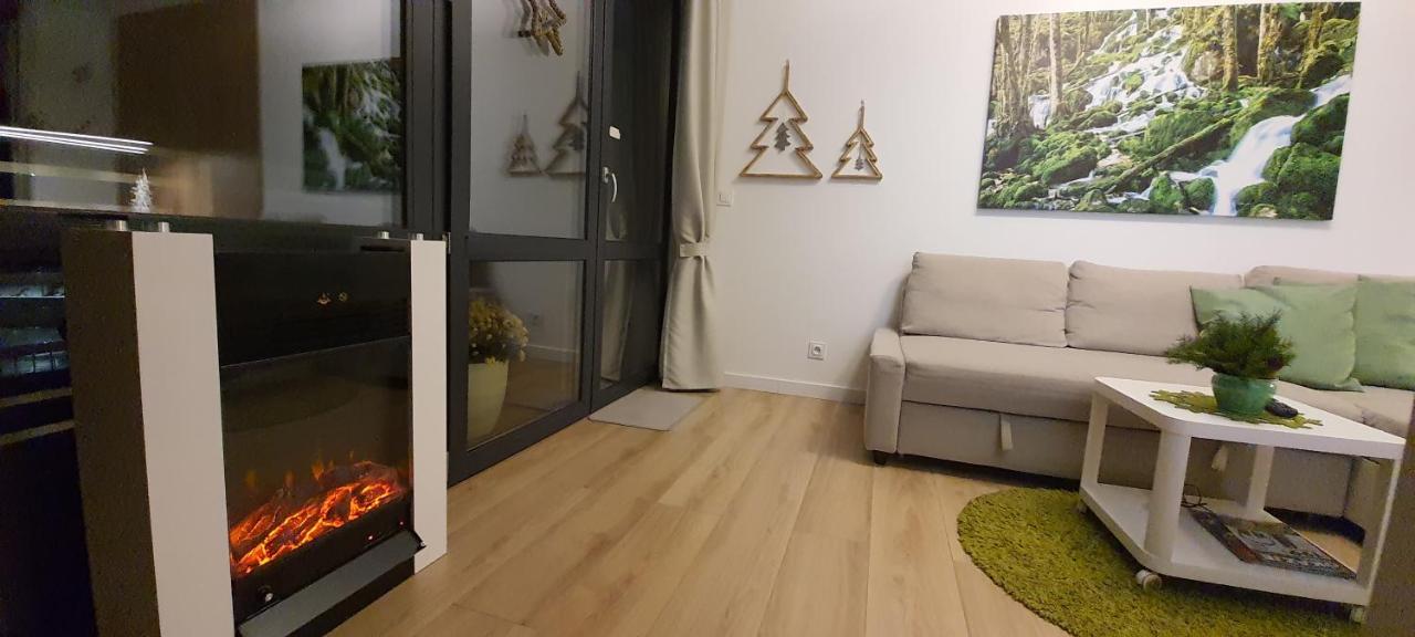 One-Bedroom Apartment Balcony Mountain View