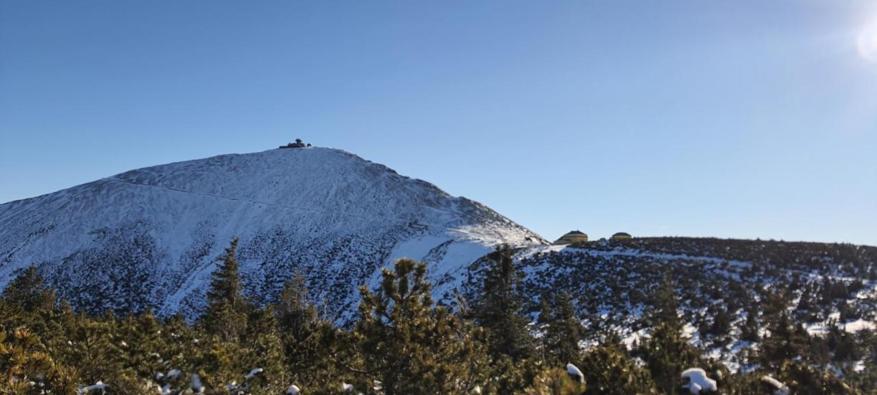 One-Bedroom Apartment Balcony Mountain View