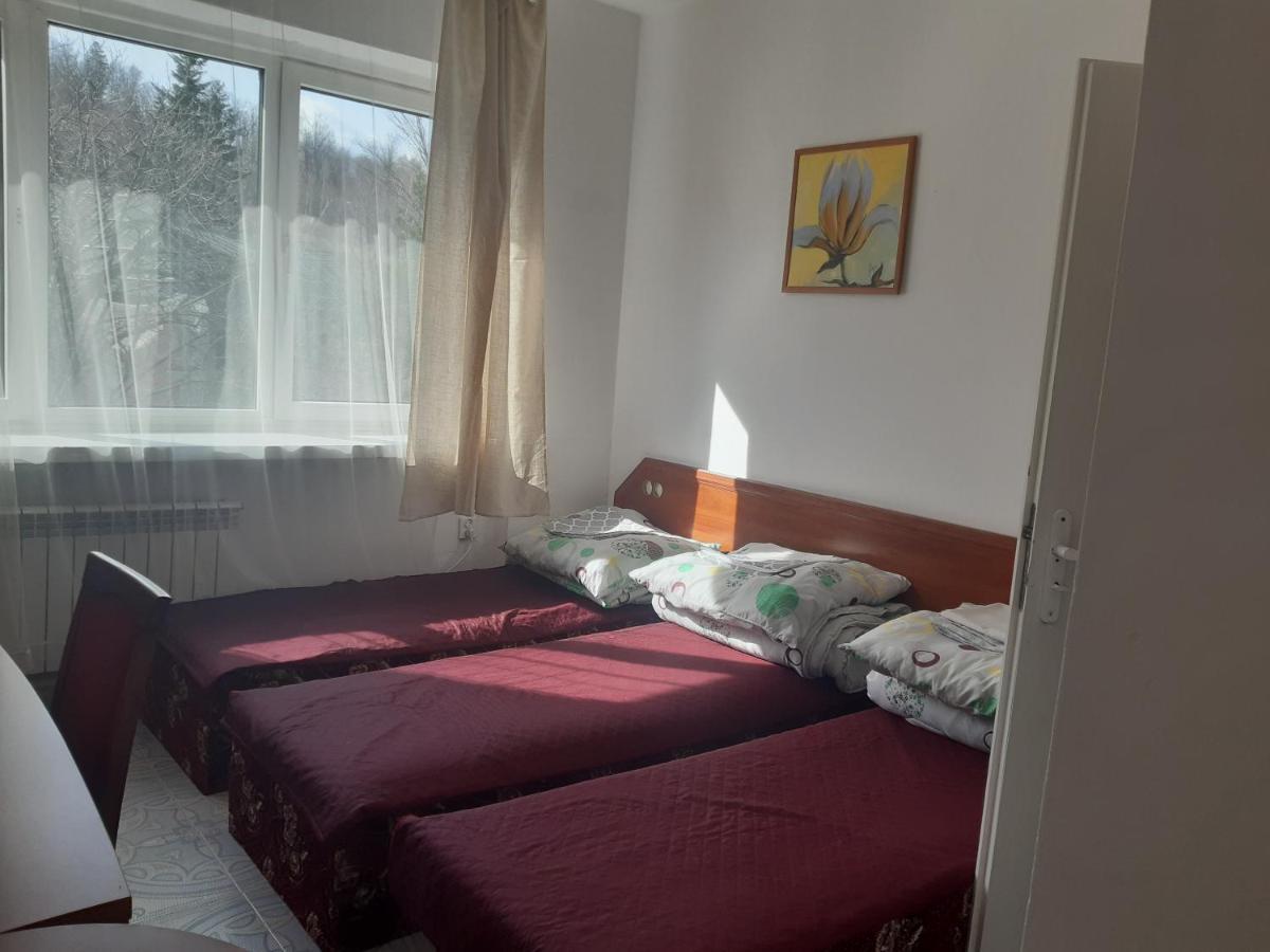 Double Room Mountain View
