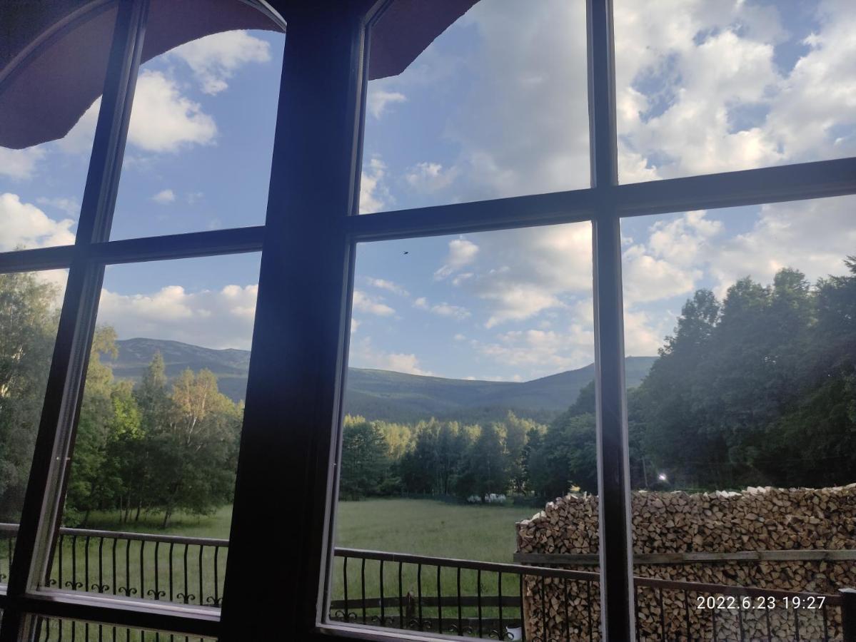 Double Room Mountain View
