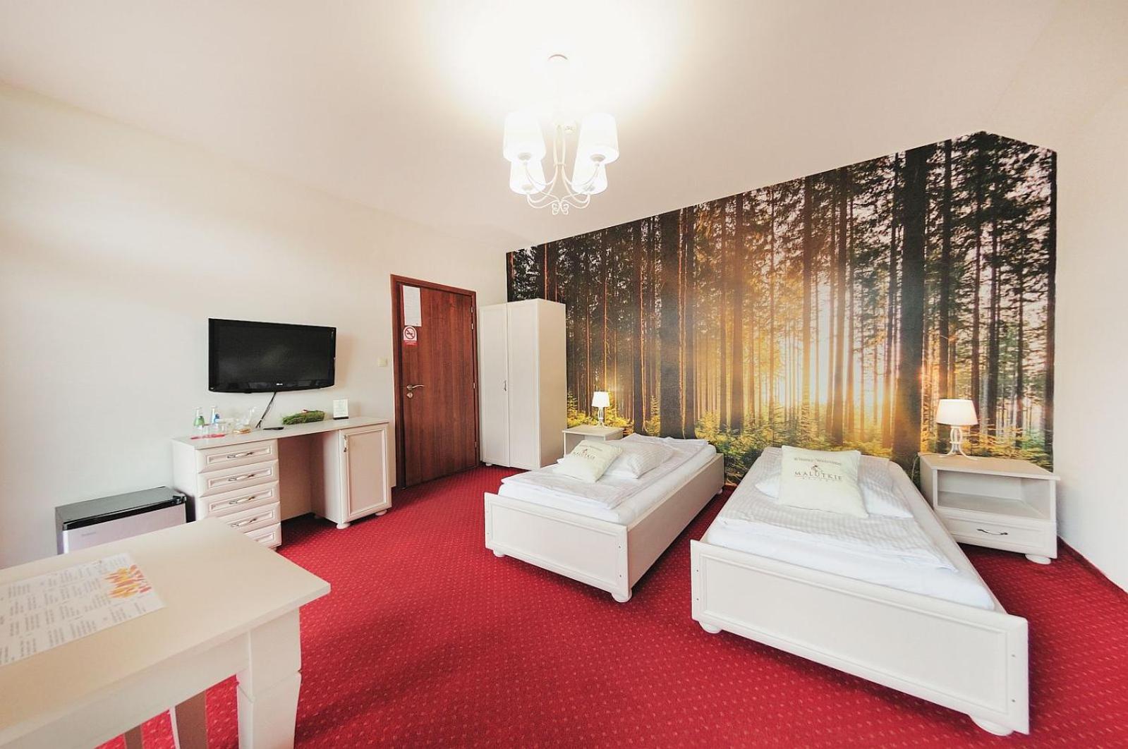 Comfort Plus Room