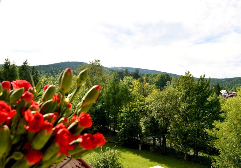 Double Room Mountain View