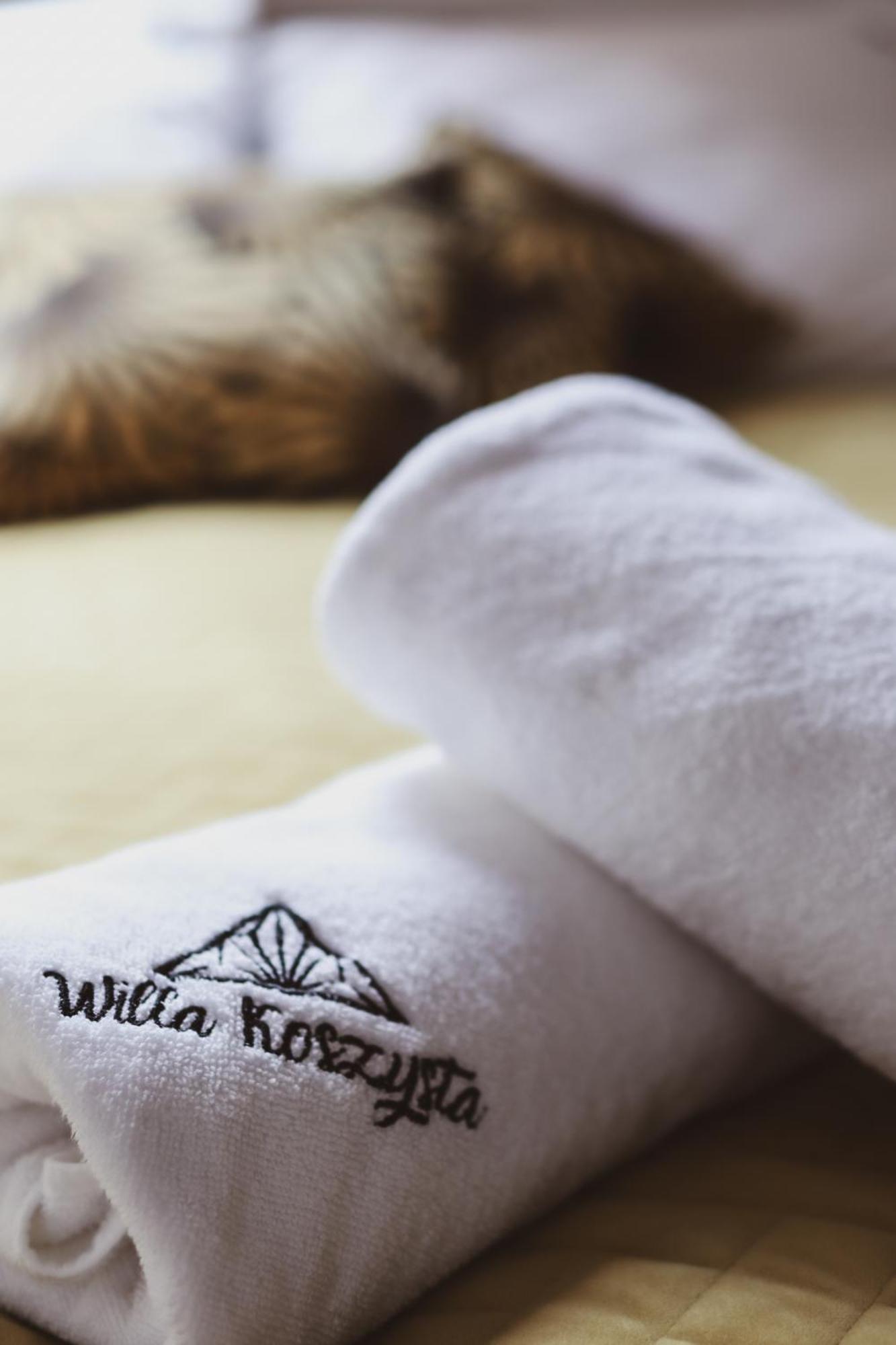 Double Room Mountain View