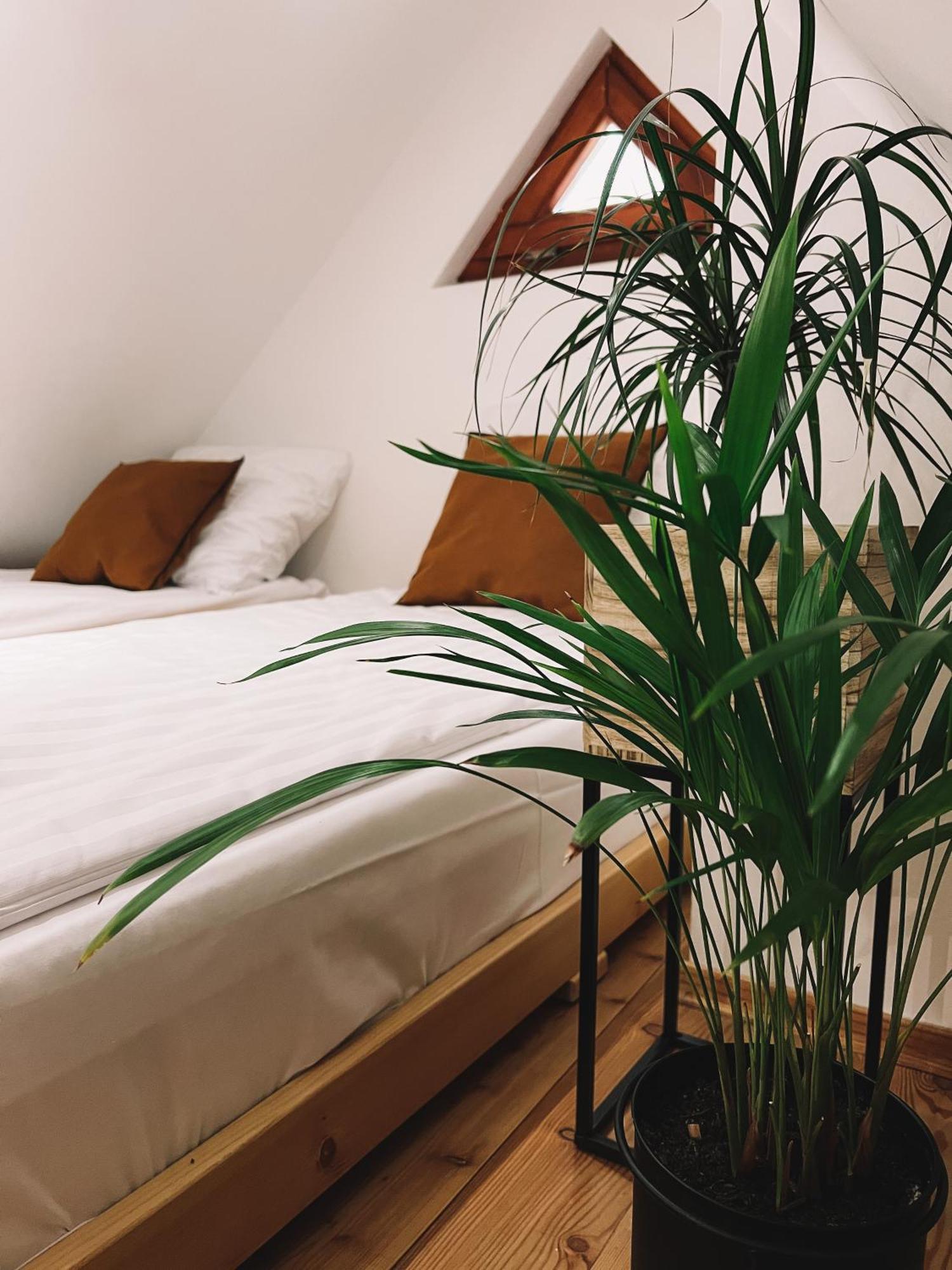 Duplex Studio