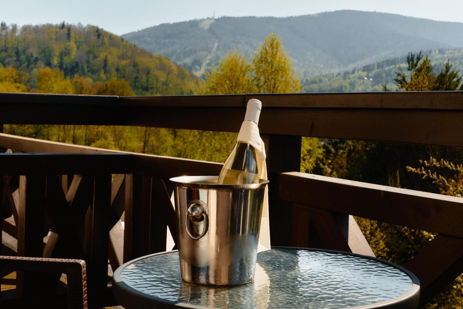 Double or Twin Room Mountain View