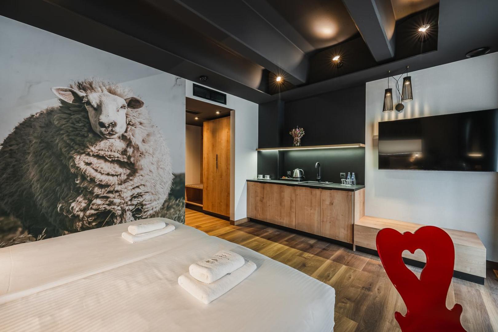 Standard Plus Room Residence