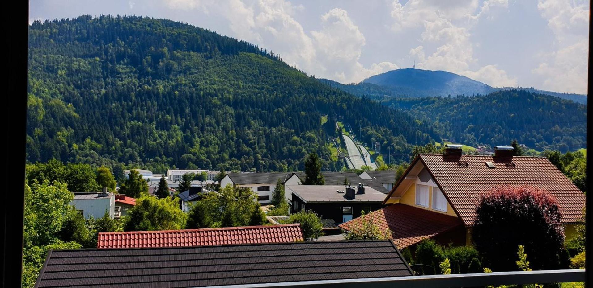 Two-Bedroom Apartment Mountain View