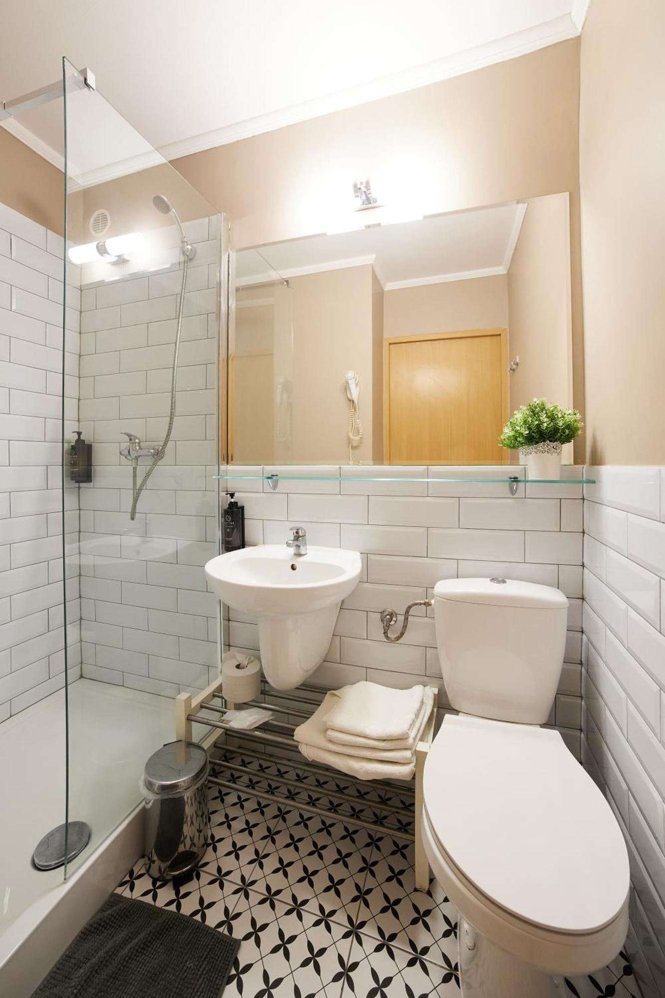 Deluxe One-Bedroom Apartment