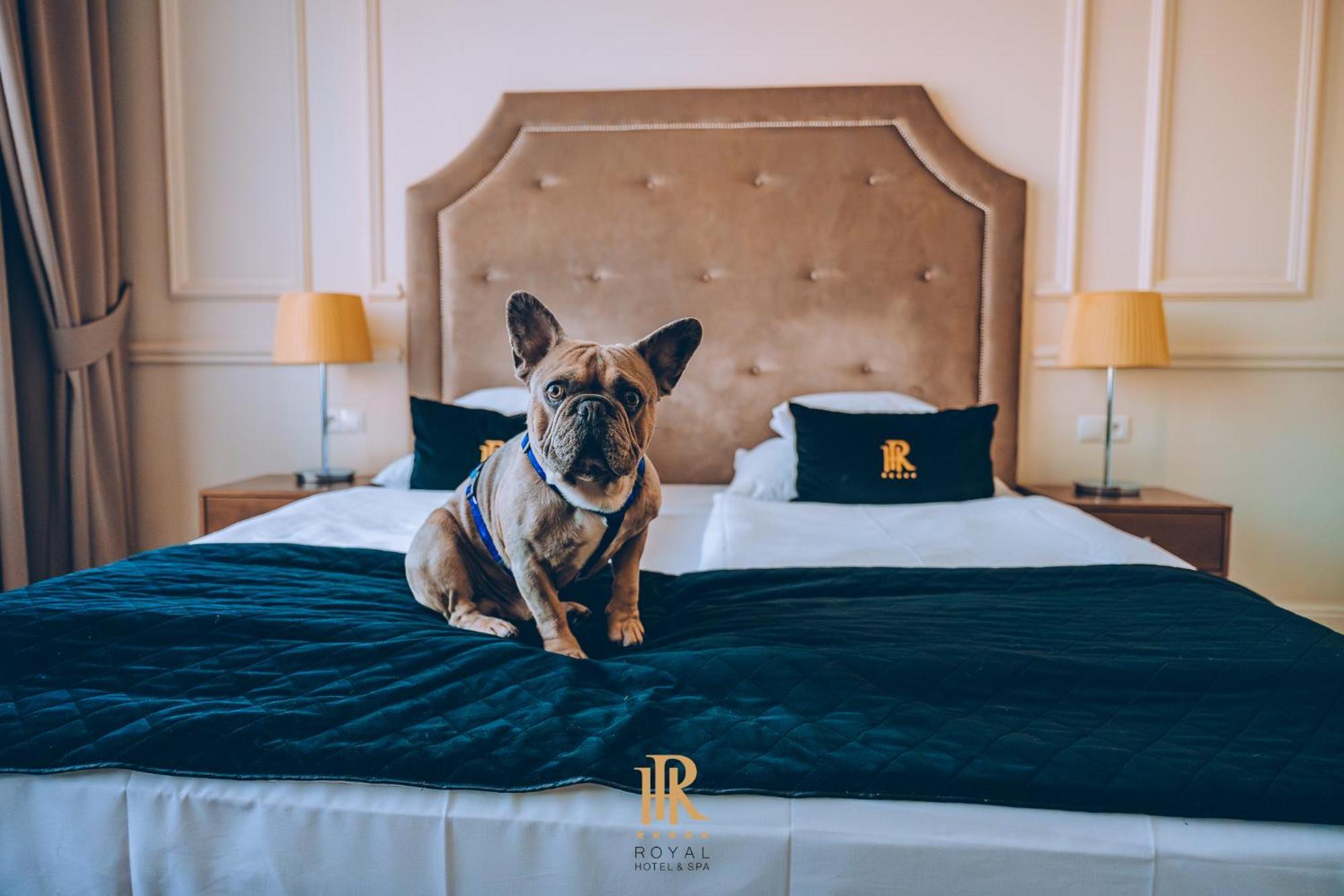 Prestige Double or Twin Room