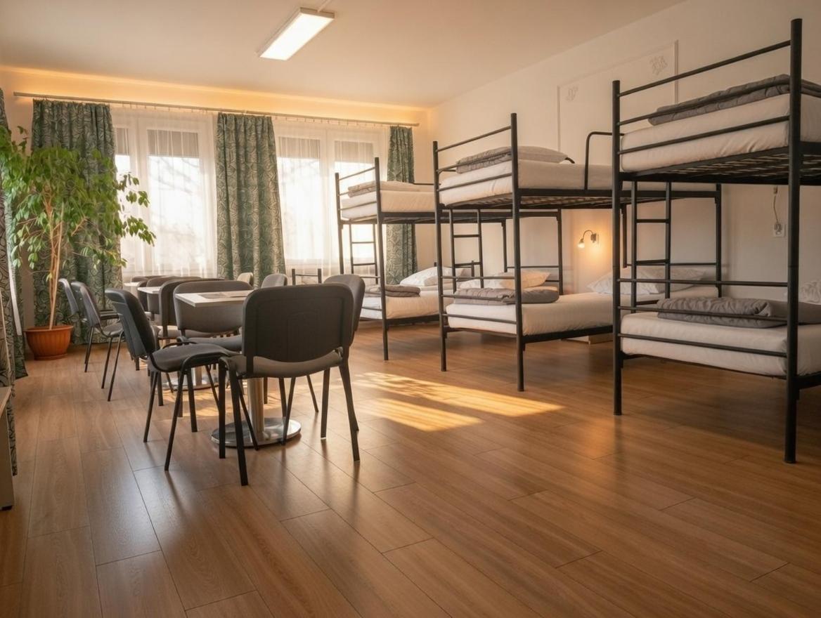 Bunk Bed Mixed Dormitory Room