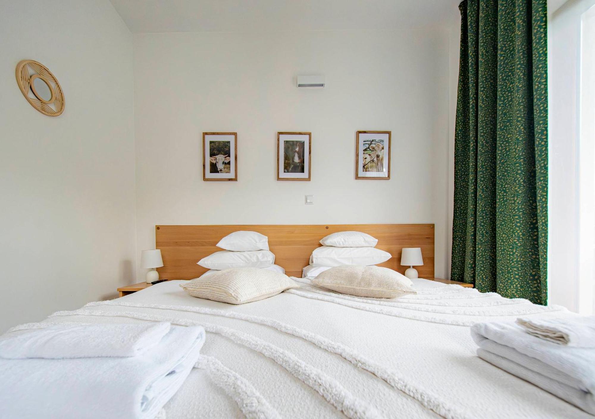 Double Room Mountain View