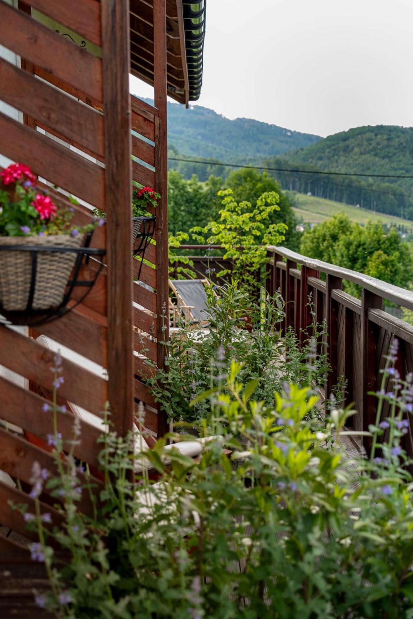 Double Room Mountain View