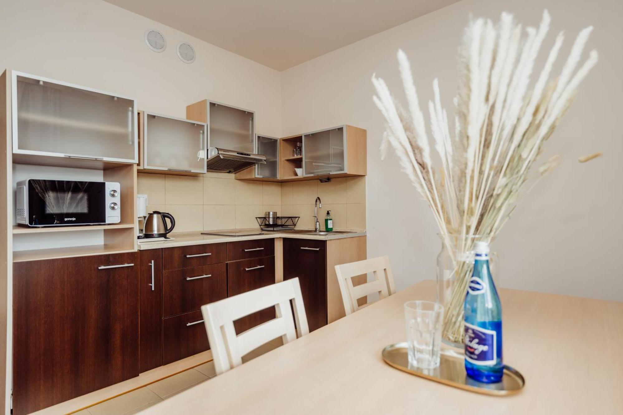 Superior One-Bedroom Apartment Balcony