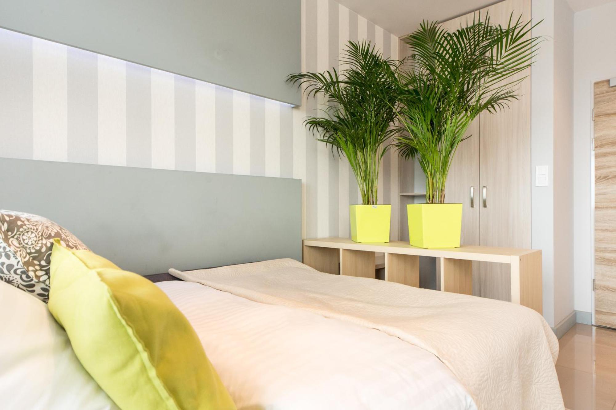 Economy Apartment