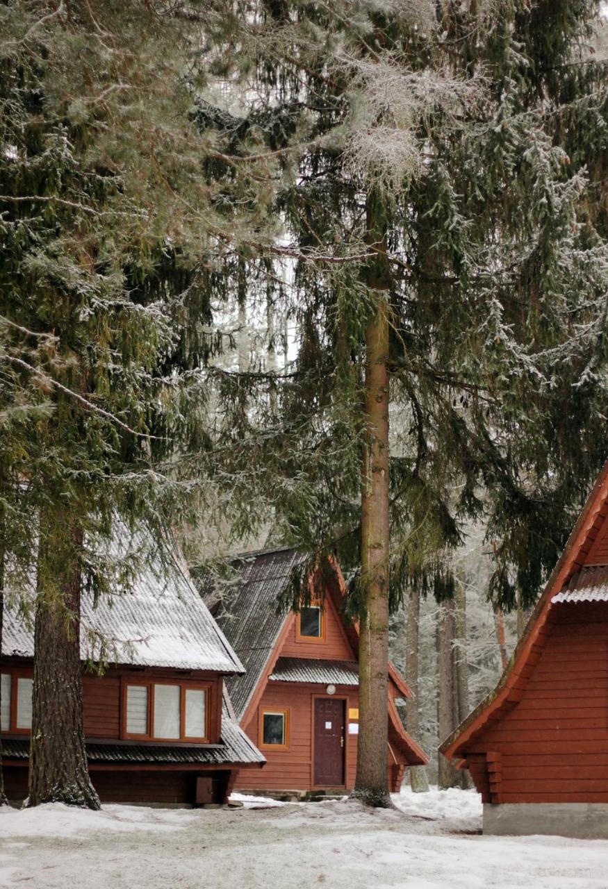 Two-Bedroom Chalet