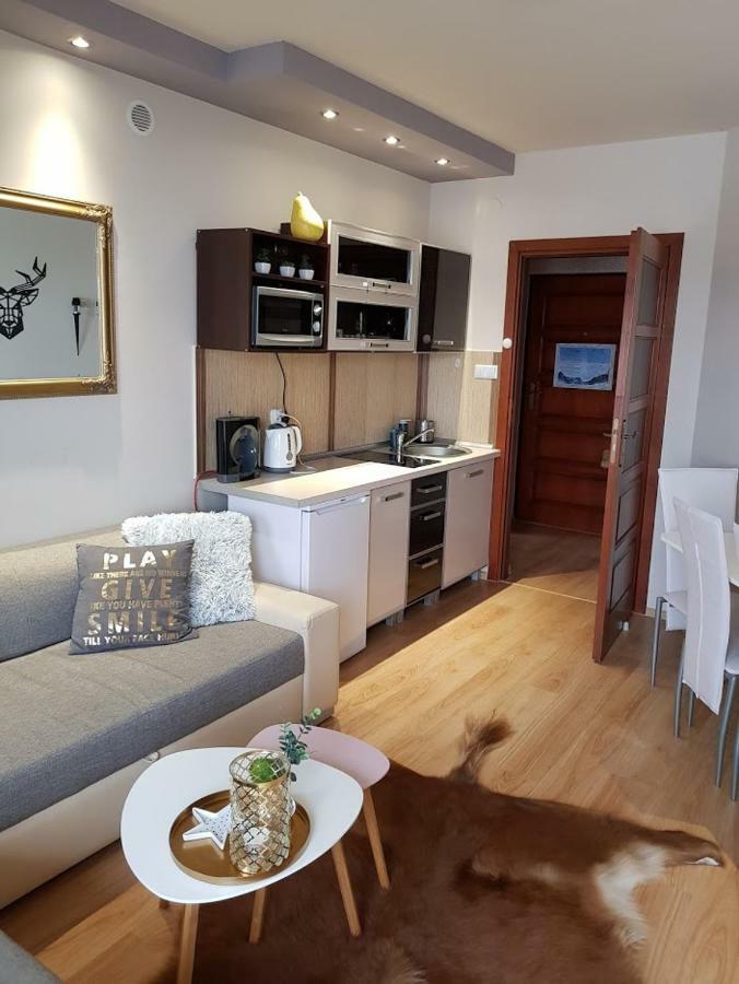 One-Bedroom Apartment Terrace
