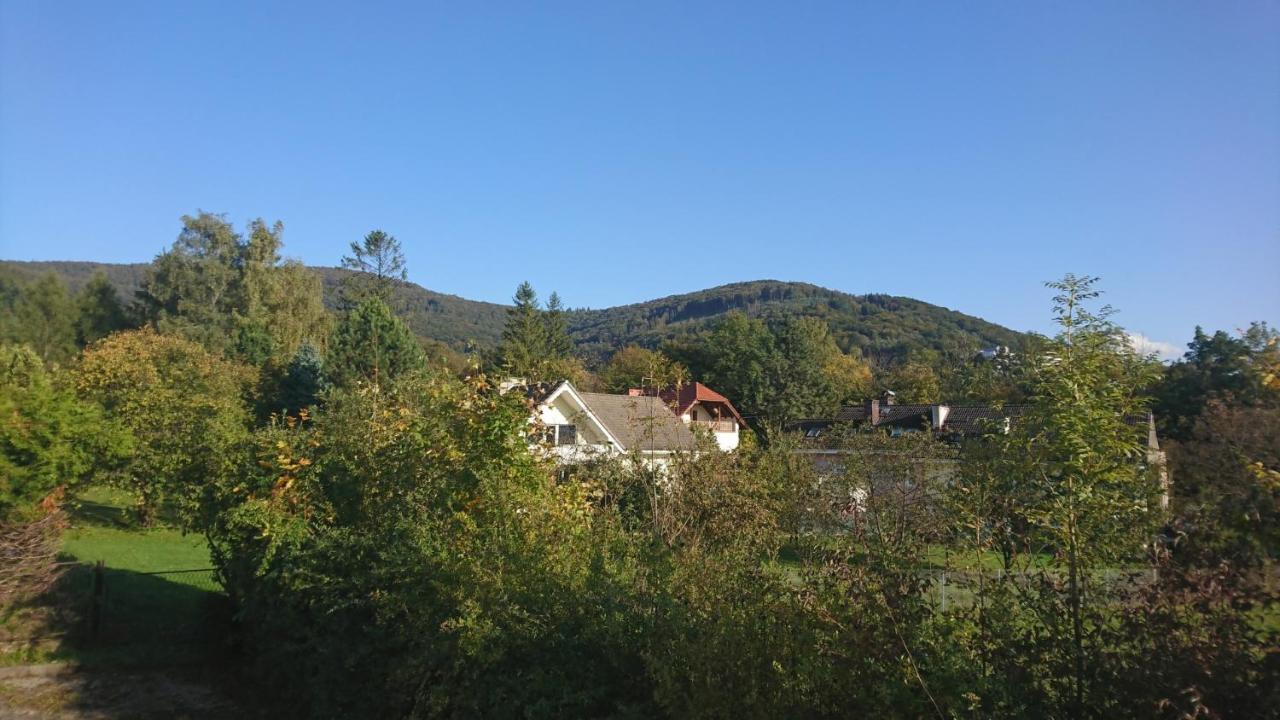 Superior Double or Twin Room Mountain View