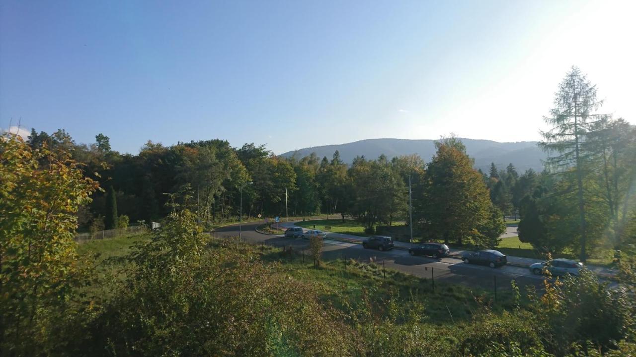 Superior Double or Twin Room Mountain View