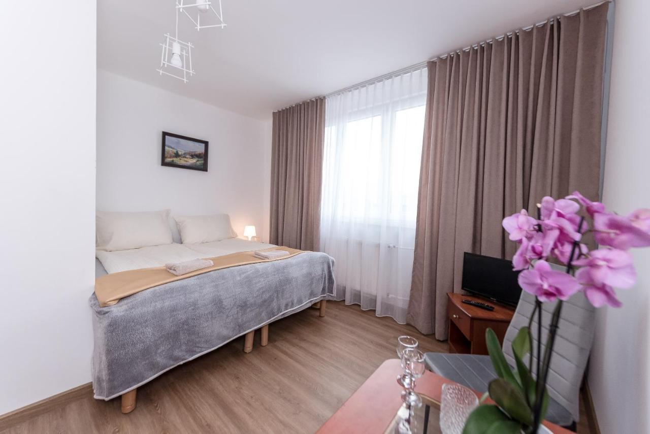 Superior Double or Twin Room Mountain View