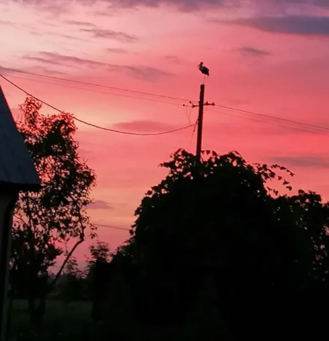 Dom i Pokoje Gościnne Zaruby Sejny-1