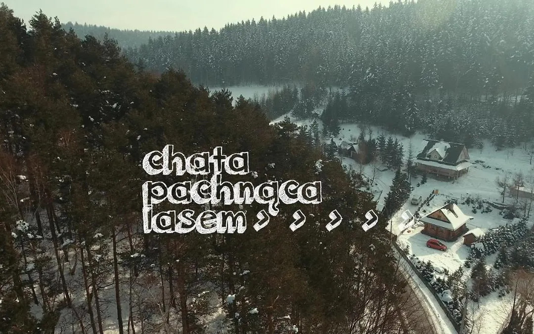 Chata Pachnąca Lasem-1