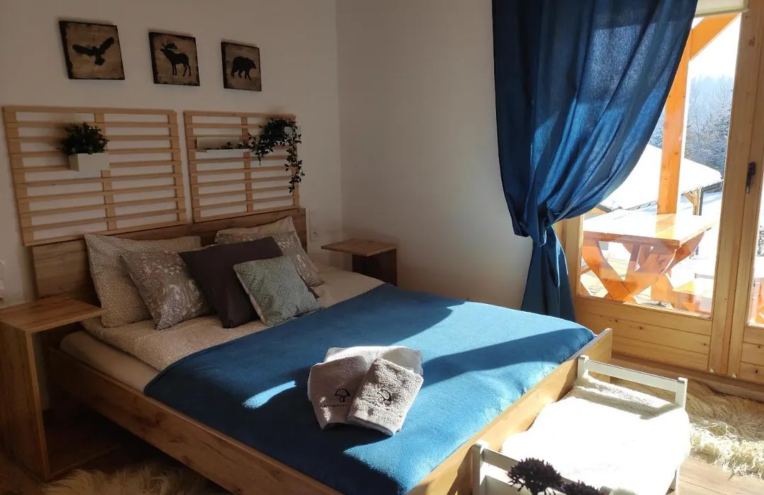 Apartament Borowikowe Zacisze-1