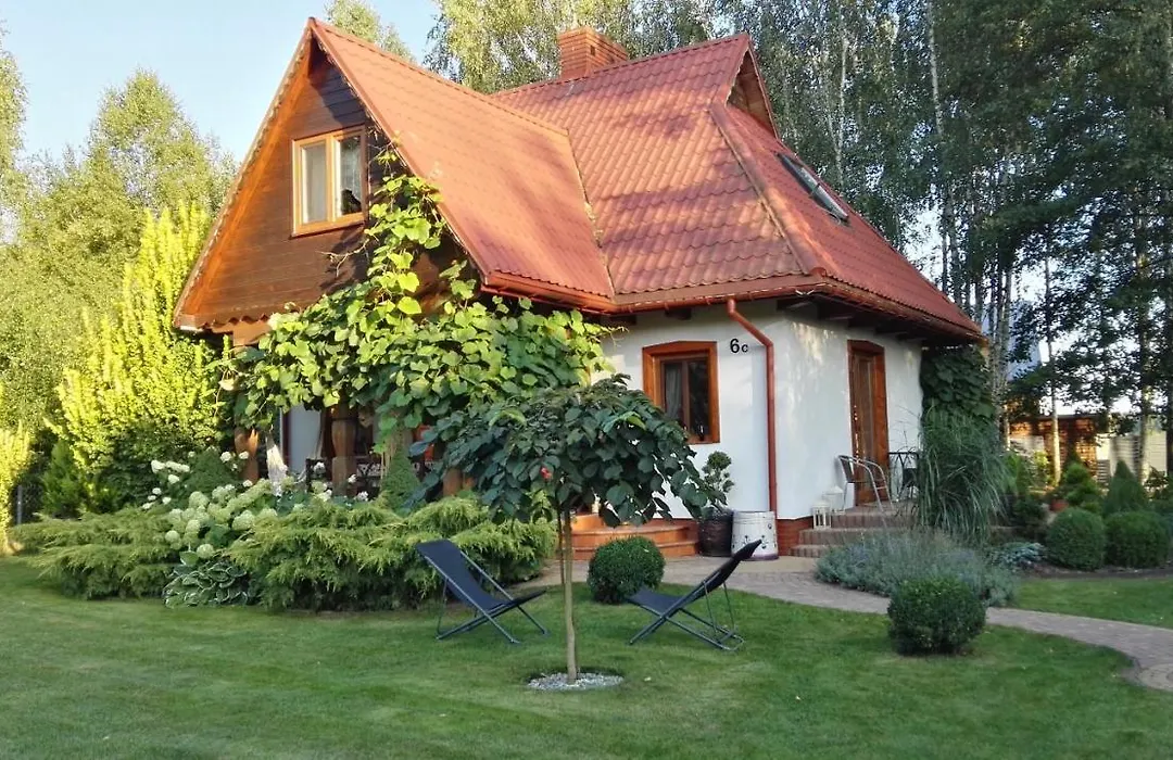 Siedlisko Gruszki Puszcza Bialowieska-1