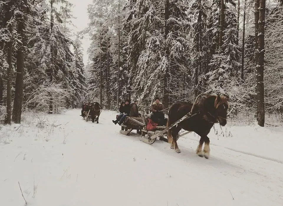 Chata Białowieska Pod Bocianem-1