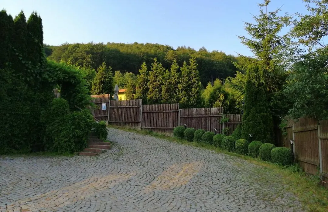 Zielone Wzgórze-1