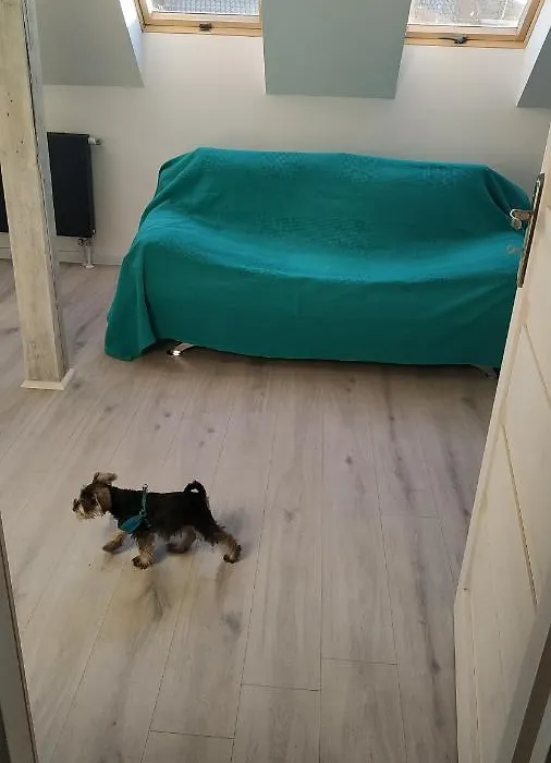 Apartament Witkacego Zielony-1