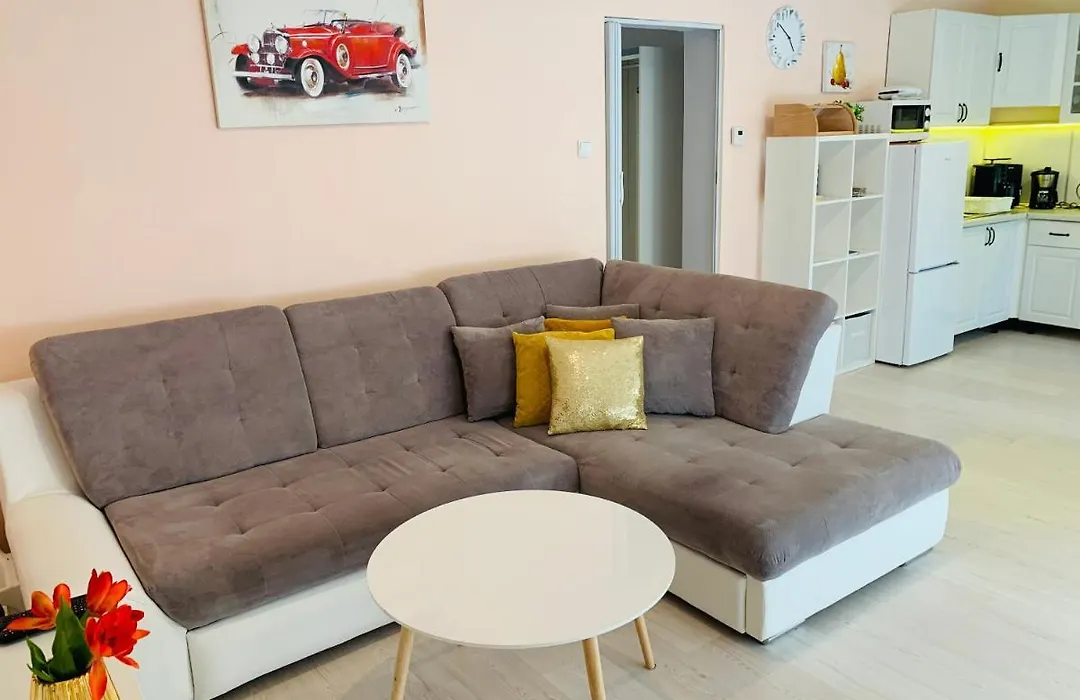 Apartament Komfort Centrum Ustroń-1