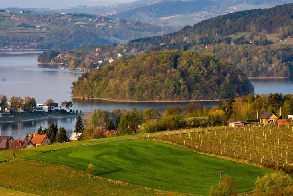 The Lake House - dom nad samym Jeziorem Rożnowskim-1