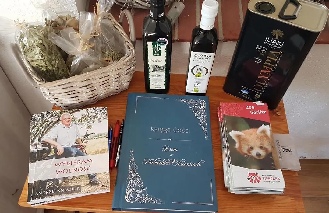 Dom O Niebieskich Okiennicach-1