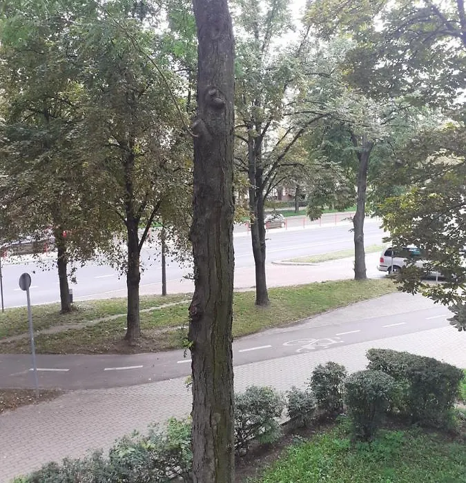 Apartamenty Centrum Piłsudskiego-1