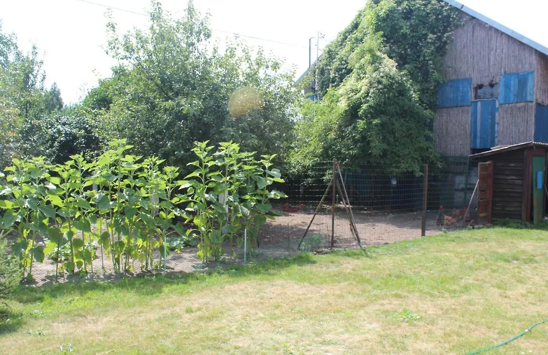 Agroturystyka Kociewiak-1