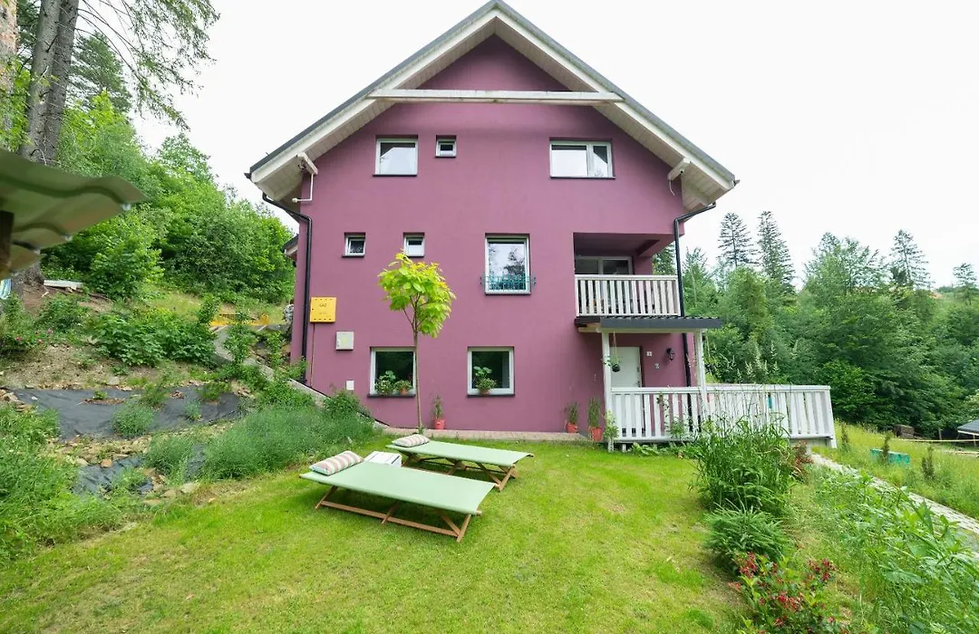 Apartamenty Lavender Hill-1