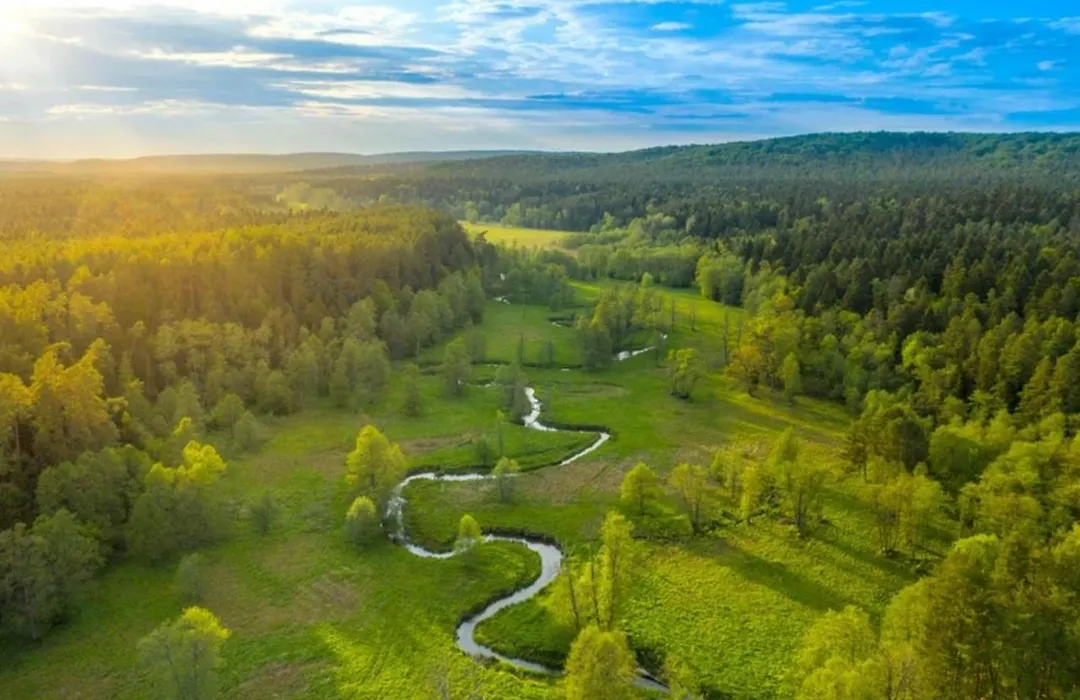 Biała chatka w lesie na Roztoczu-1