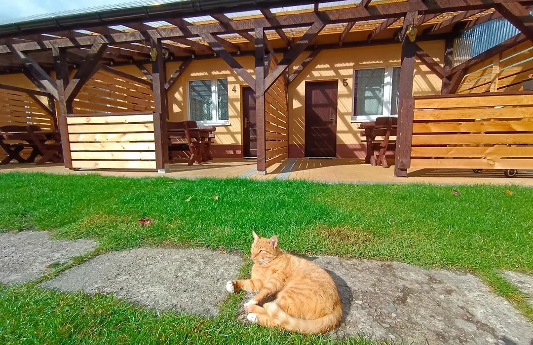 Agroturystyka Alex-1