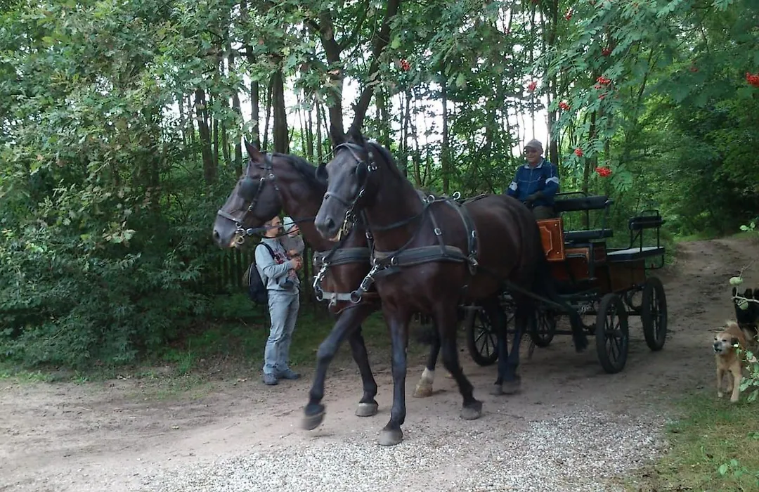 Olchowy Mlyn-1