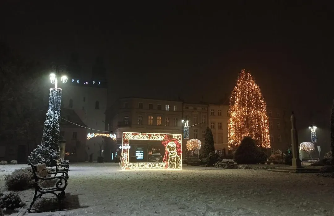 Apartament Zdrojowy II-1