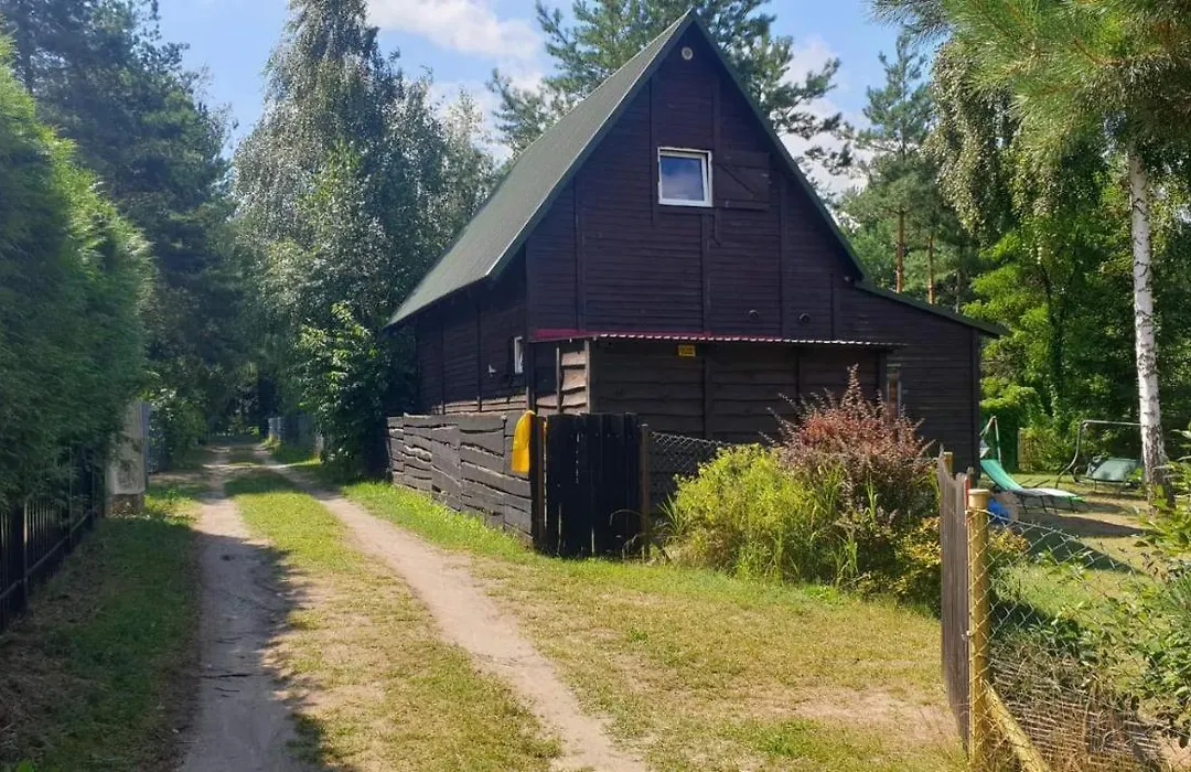 domki nad jeziorem, las, do 10 osób jezioro Wilczyńskie Budzisławskie - domek letniskowy osobno ogrodzony, ogrzewany mile widziane pieski, zwierzeta- wielkopolska, 62-550 Zygmuntowo gm Wilczyn-1