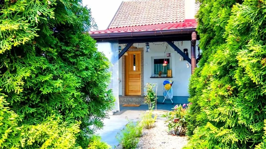 Mazurski dom Brejdyny Sauna i Bania-1