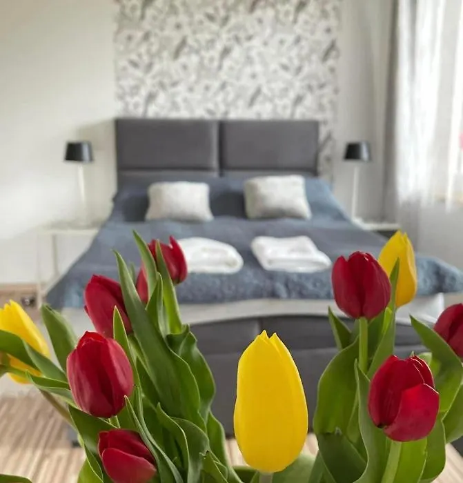 Villa Marzenie Pokój 2 osobowy-1