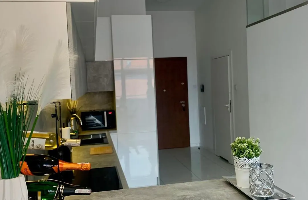 Ekskluzywny Loft Tymienieckiego-1