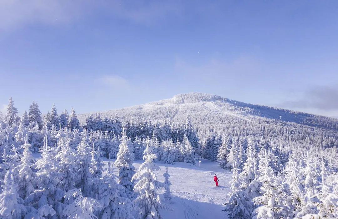 Panorama Ski, Bike, Spa & Restaurant - Czarna Gora Resort-1