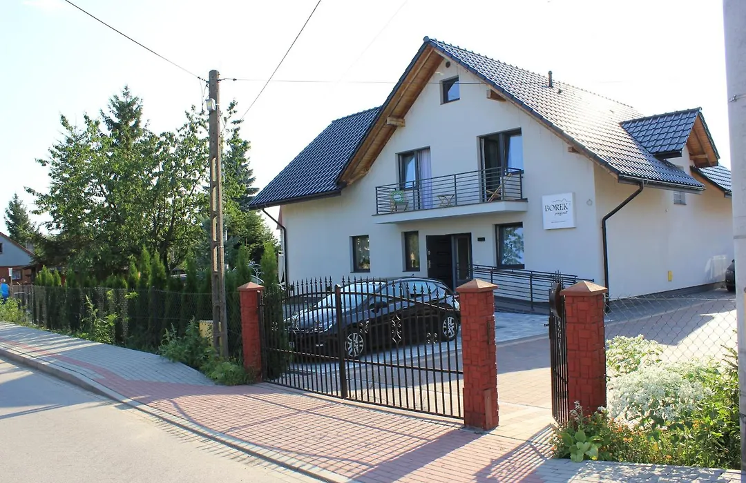 Borek-1