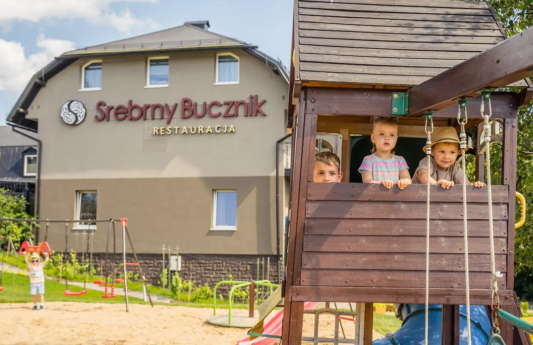Srebrny Bucznik Wellness&Restaurant-1