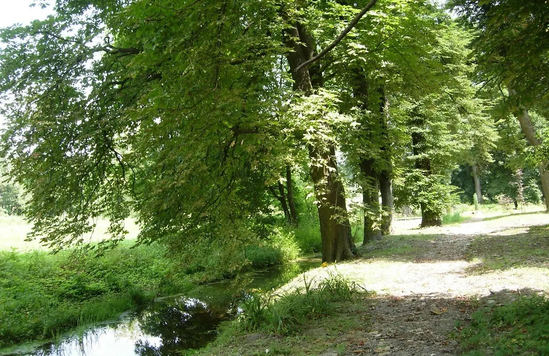Dwór Udrycze-1
