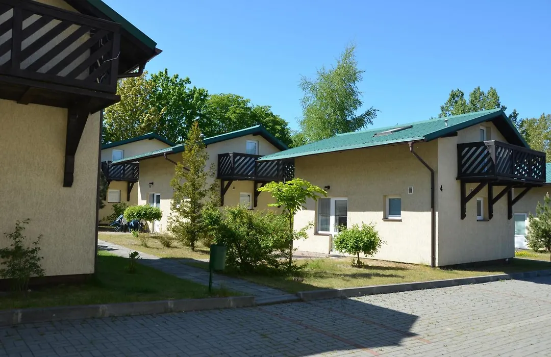 Róża Wiatrów-1